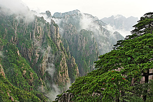 昏迷水哪里有卖C1B8D97C5-18975